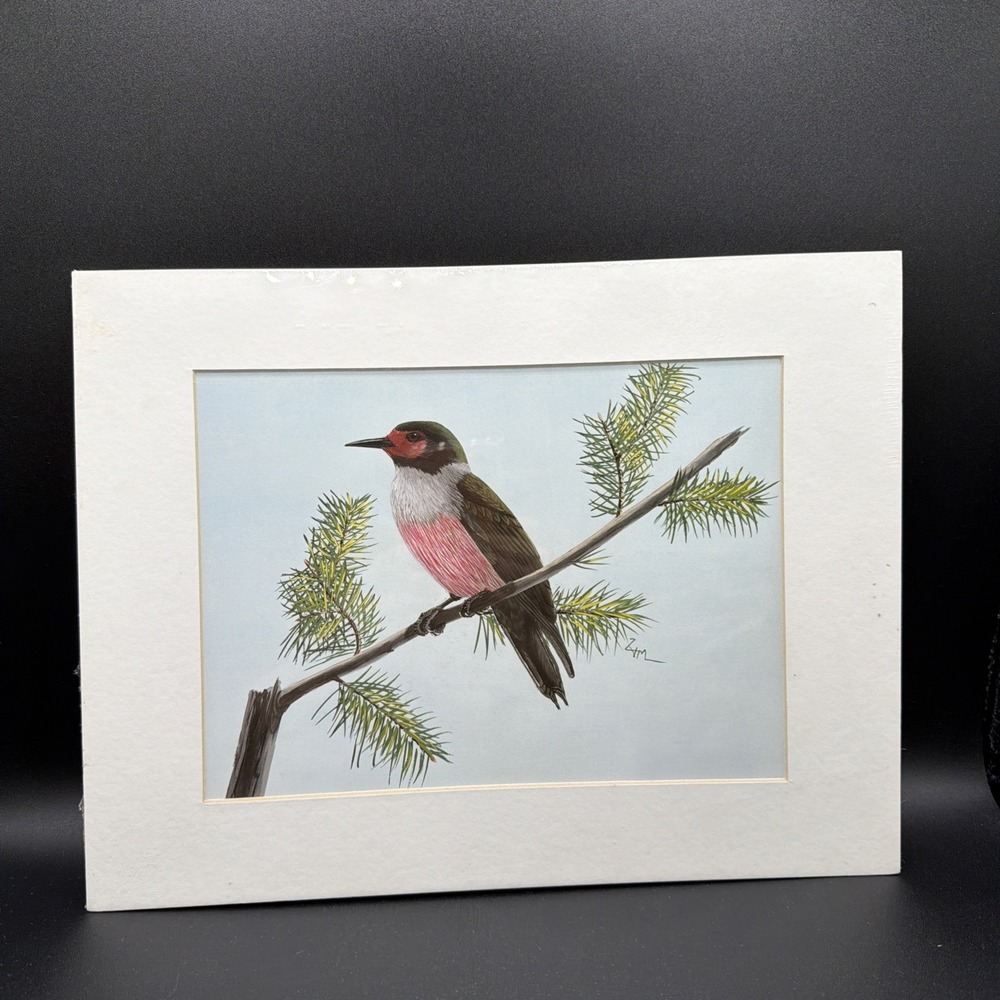 VTG Zella Schultz Lithograph No. 6 Lewis' Woodpecker Matted
